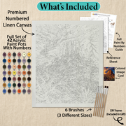 What's included with the Mesa Thunderstorm DIY frame paint by numbers kit gift