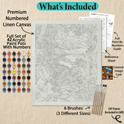 What's included with the Path to Paradise DIY frame paint by numbers kit gift